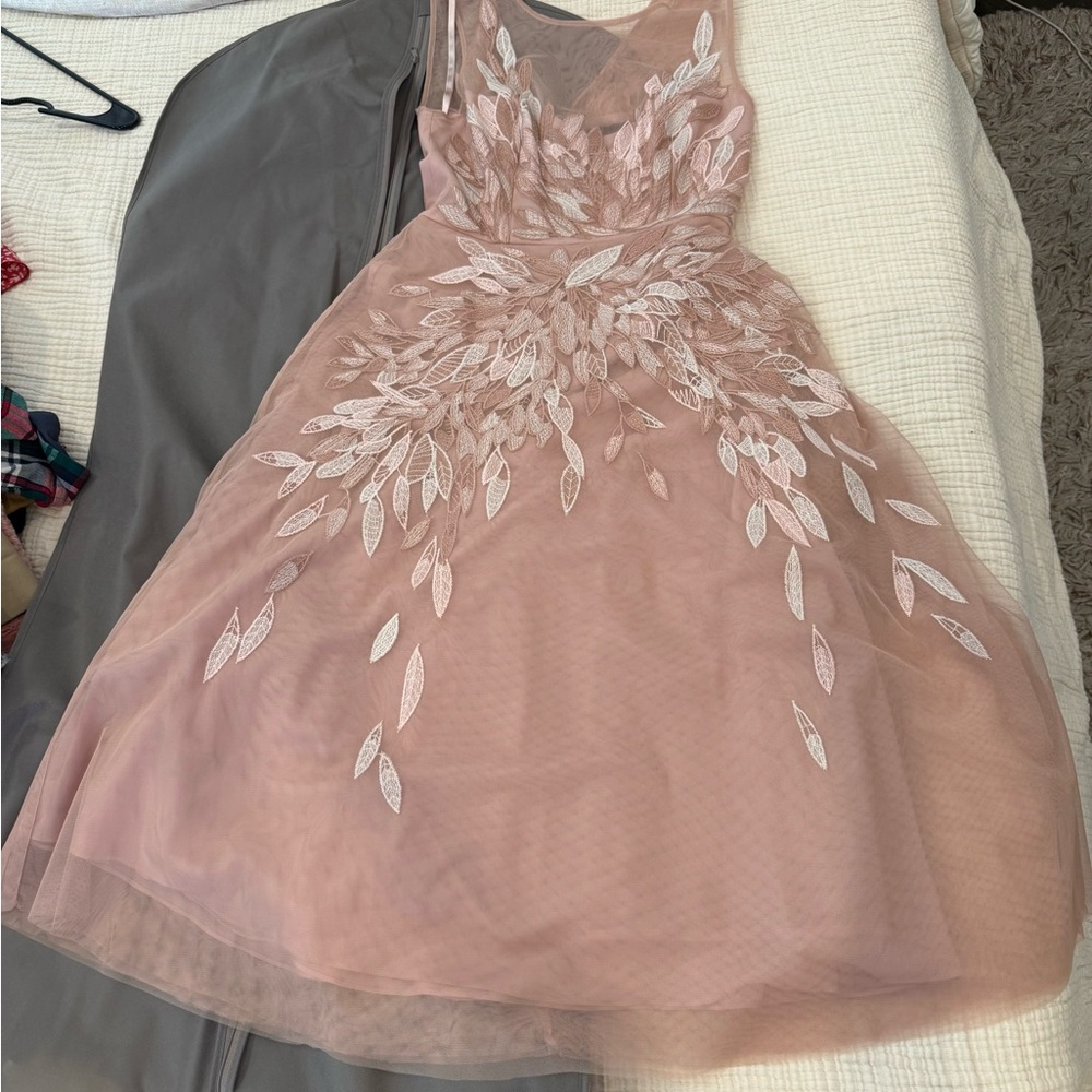 BCBGMaxAzria Blush Pink Midi Dress